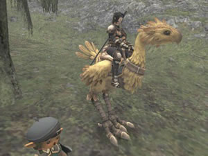 Final Fantasy XI Review - GameRevolution