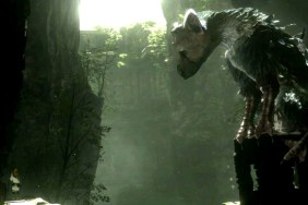Video Games, Sony the last guardian