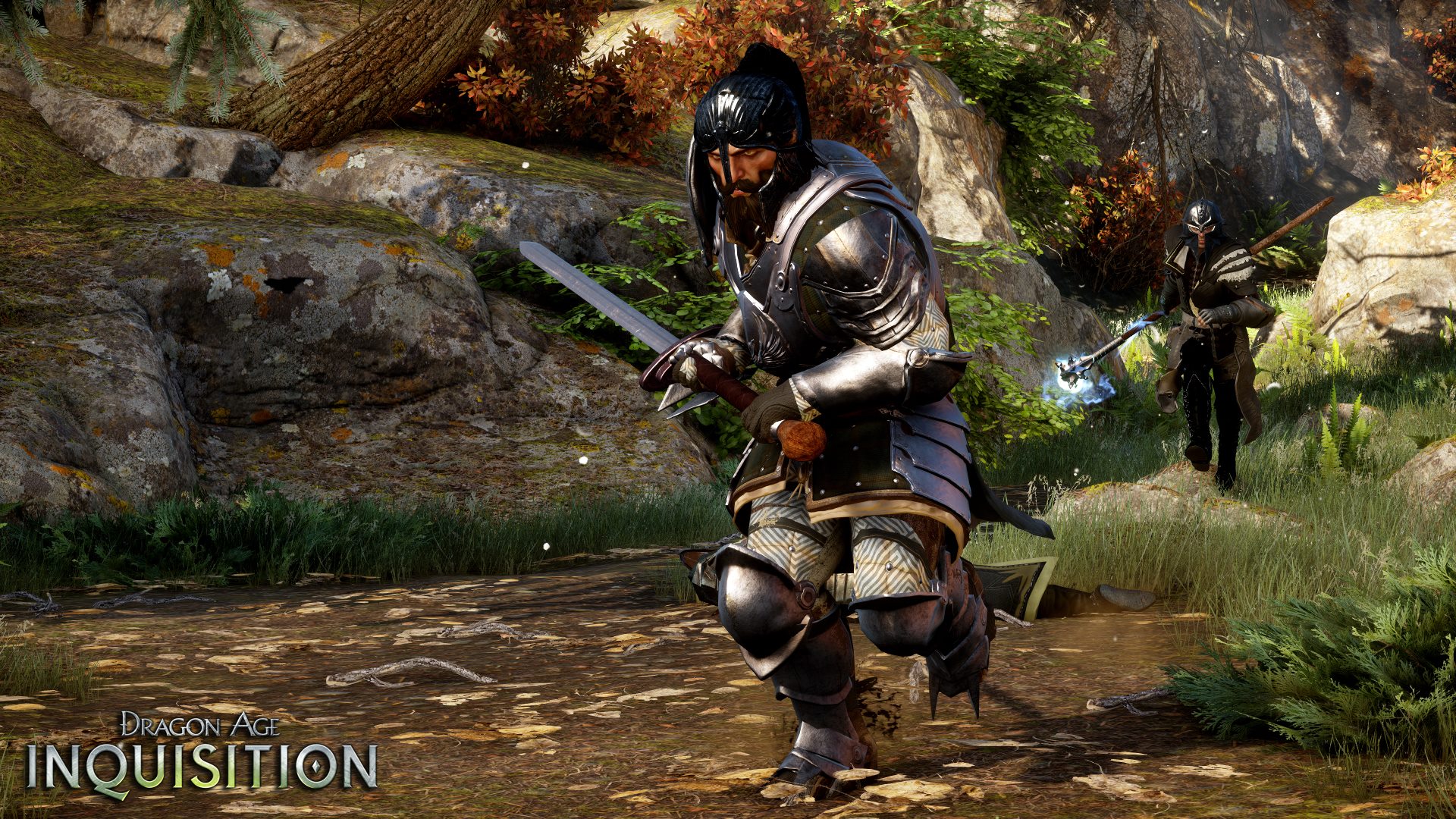 The Warden, Dragon Age Wiki