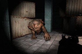 Stalker Visual Overhaul
