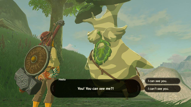 Zelda Breath Of The Wild Increase Inventory Space By Doing This