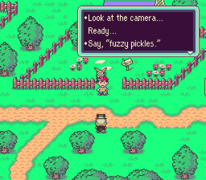 Earthbound Fuzzy Pickles