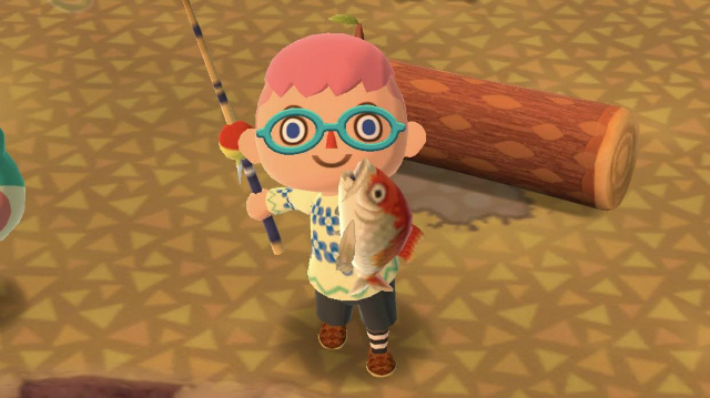 Animal Crossing Pocket Camp Error Code 802-2609