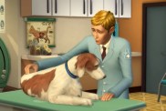 The Sims 4 Vet Career Cats and Dogs