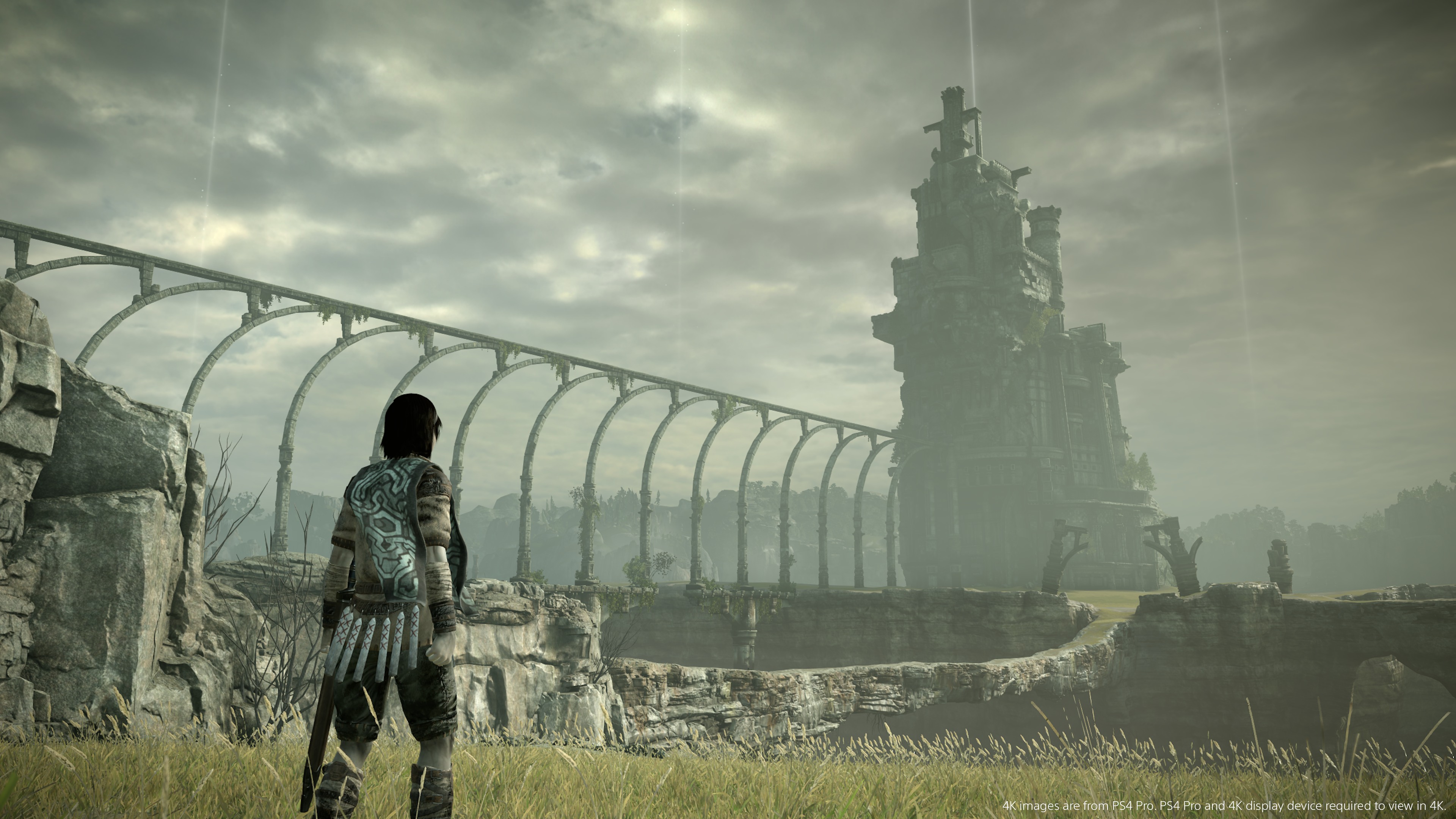 PSA - Shadow of the Colossus still has severe texture streaming issues on  PS5 nearly two years later : r/ShadowoftheColossus