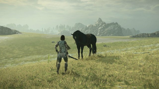 Shadow of the Colossus Agro and Wander
