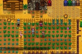 Stardew Valley Multiplayer Update