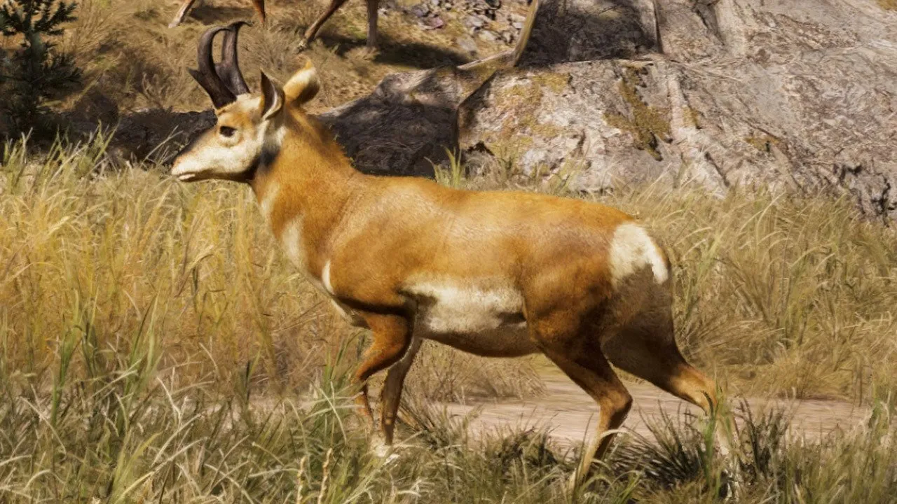 Far Cry 5 Pronghorn Location Where to Hunt the Pronghorn Far Cry 5