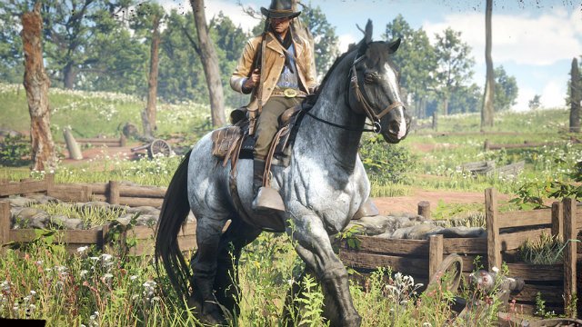 markør ballade læder Red Dead Redemption 2 Editions and Pre-Order Bonus: What's in the  Collector's Edition? - GameRevolution