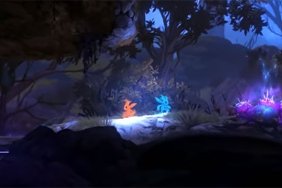 Ori and the Blind Forest Co-op Mod