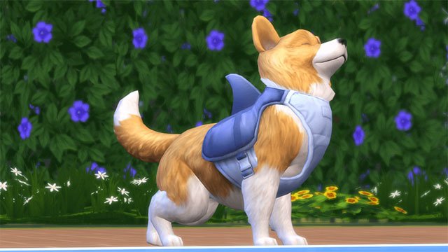ader procedure Woud The Sims 4 Cats & Dogs PS4 and Xbox One Release Date Announced -  GameRevolution