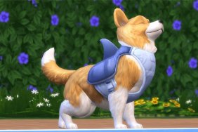 The Sims 4 Cats & Dogs