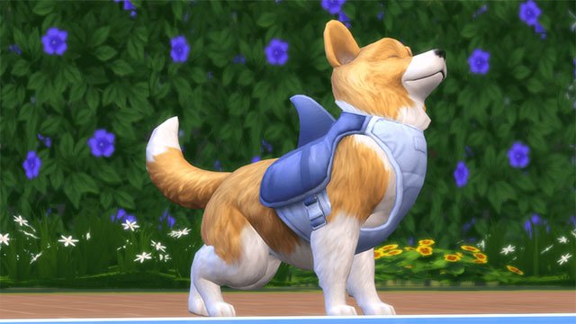 The Sims 4 Cats & Dogs