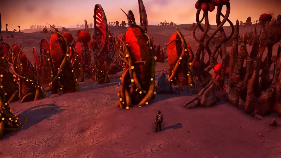 No Man’s Sky Solanium | How to find or grow Solar Vines 