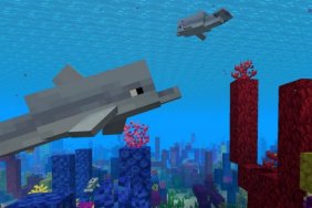 what do dolphins eat in minecraft