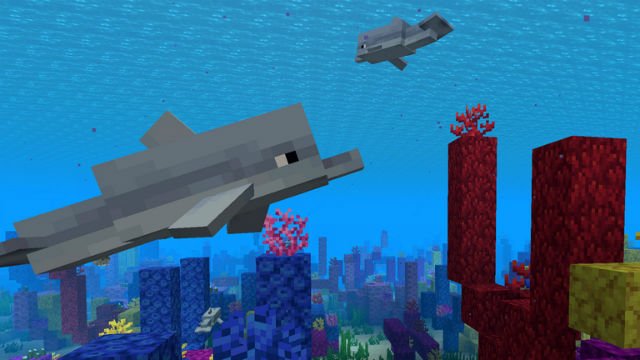 what do dolphins eat in minecraft