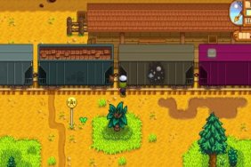 Stardew Valley Train