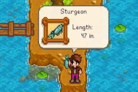 stardew valley sturgeon guide