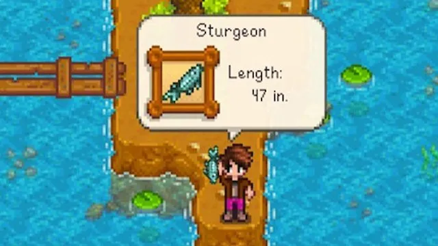 stardew valley sturgeon guide