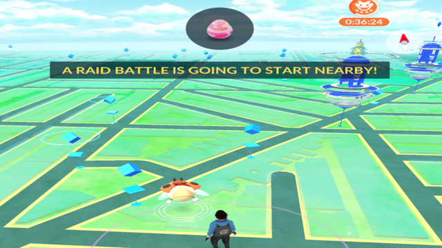 Pokemon Go Ursaring Raid Boss Battle