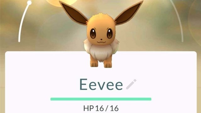 Pokémon Go SECRET - How to Evolve Eevee into Umbreon & Espeon! 