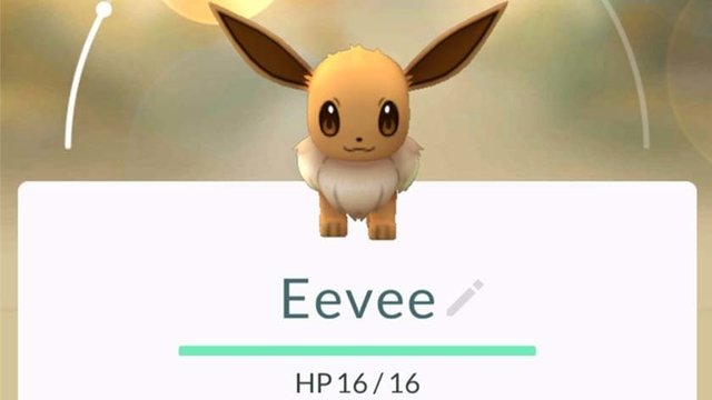 How to evolve Eevee into Espeon in Pokemon Go - Charlie INTEL