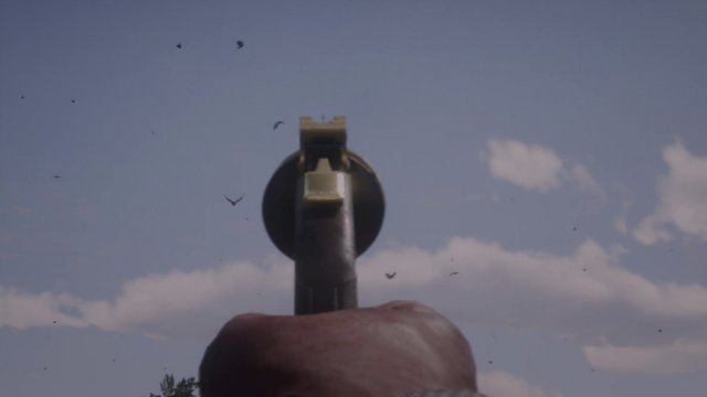 Red Dead Redemption 2 First-Person Mode Aim Down Sights