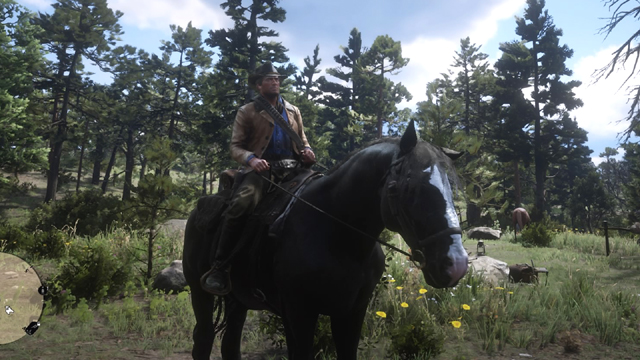 Red Dead Redemption 2 get your horse back