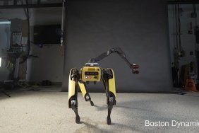 Twerking Robot Dog of Nightmares