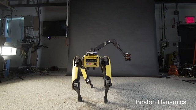 Twerking Robot Dog of Nightmares