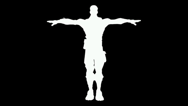 NEW T-Pose Emote / Fortnite Battle Royale 