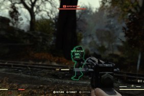 Fallout 76 Legendary Weapons don't look like this gun.