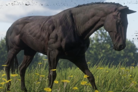 Red Dead Online Horse Upgrade Black Chestnut Thoroughbred