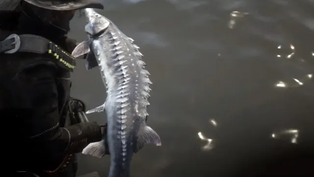 Red Dead Redemption 2 Legendary Lake Sturgeon