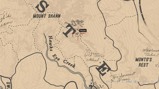 Red Dead Redemption 2 Rock Carvings - Location 3
