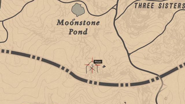 Red Dead Redemption 2 Rock Carvings - Location 5