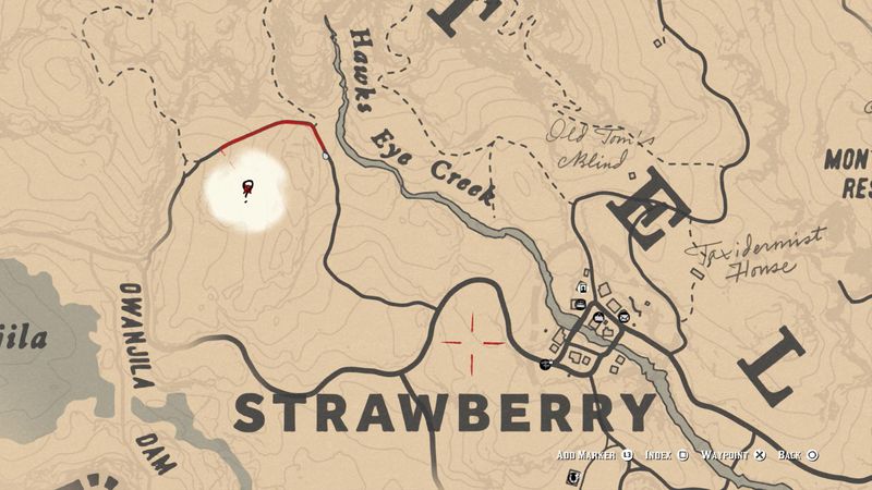 Red Dead Redemption 2 rock carvings start