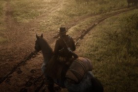 Red Dead Redemption 2 Rhodes Horse Fire Bug