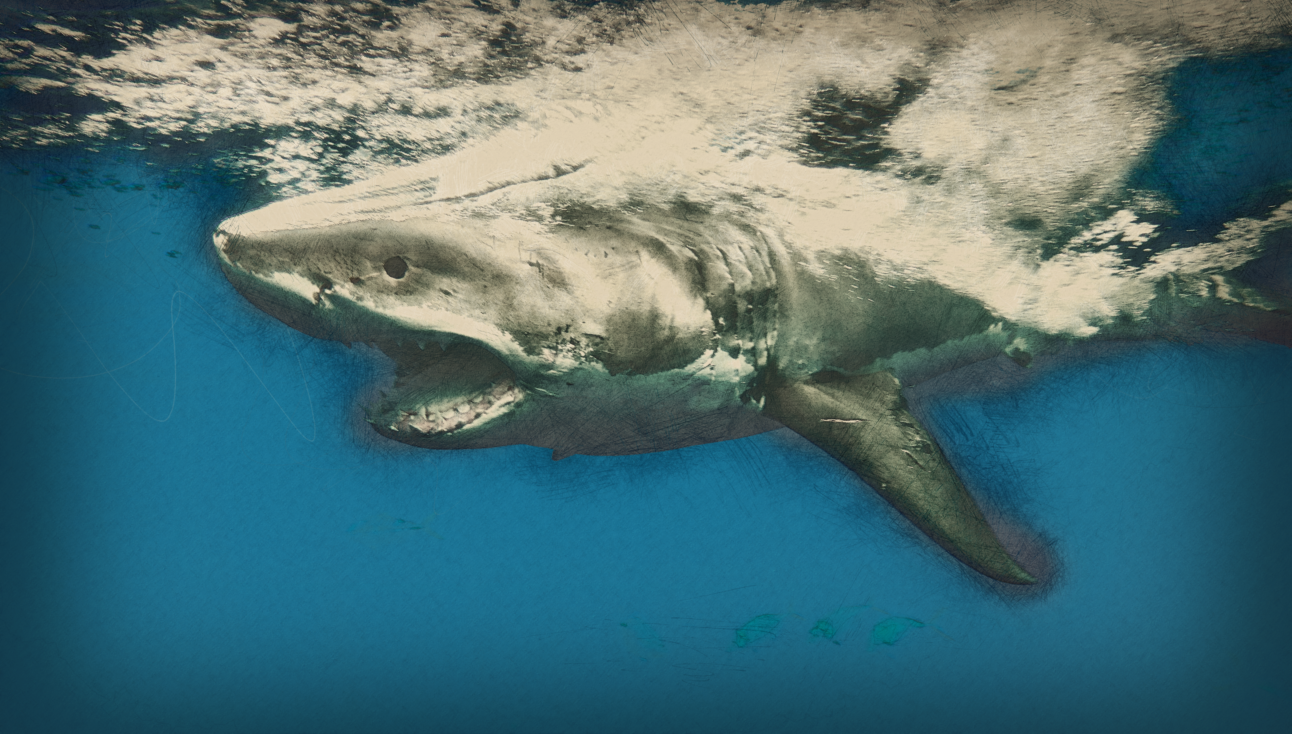 Sharknado 2