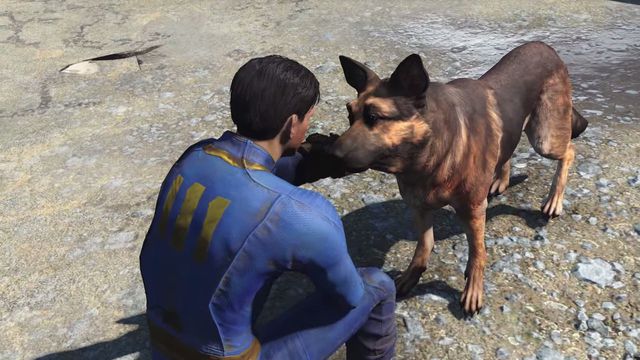 fallout 76 dog companion