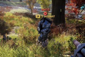 fallout 76 passive mode