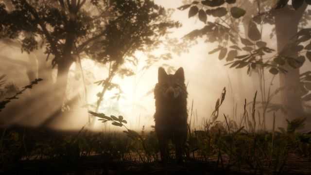 Red Dead Redemption 2 Werewolf - RDR2 Feral Man Location - GameRevolution
