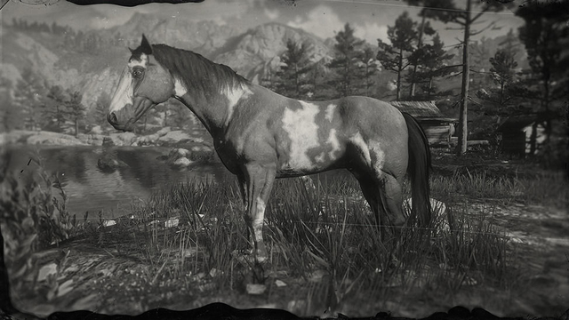 storm Profet Et bestemt Red Dead Redemption 2 Horse Locations Guide - GameRevolution