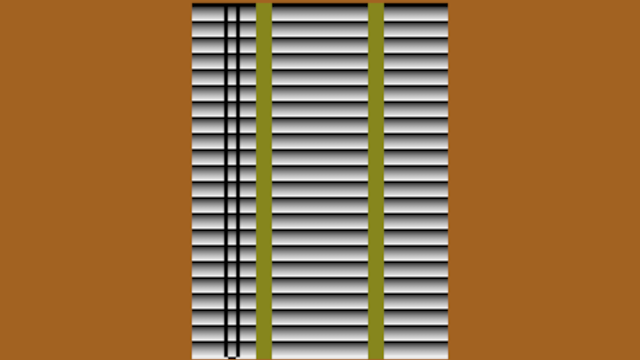 venetian blinds