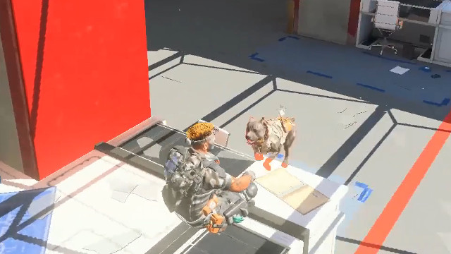 Black Ops 4 Emote Glitch