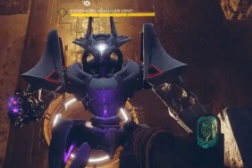Players Petition Bungie to Add Glitching Boss as RNG Spawn destiny 2