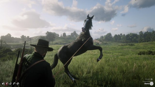 red dead online lasso glitch