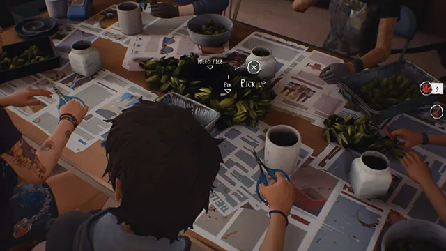 Life is Strange 2 collectibles guide