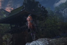 Sekiro: Shadows Die Twice multiplayer ain't happening.