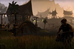 Elder Scrolls Online expansion to feature Khajiit and set in Elsweyr.